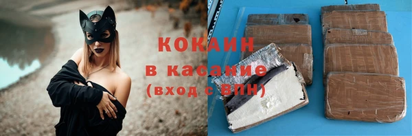 винт Абаза