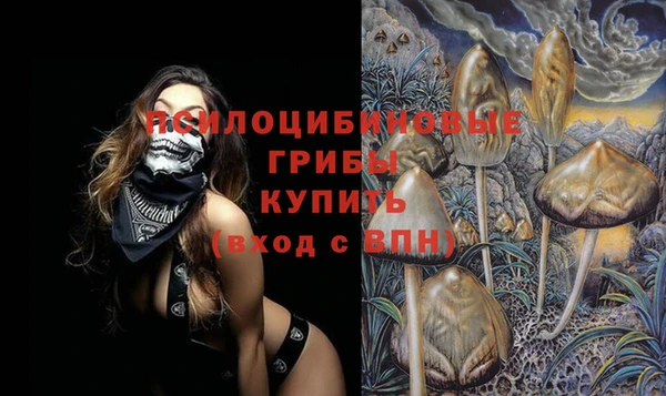 винт Абаза