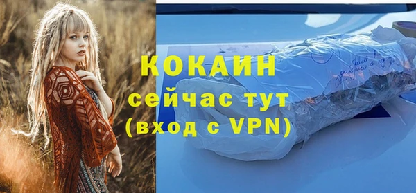 винт Абаза