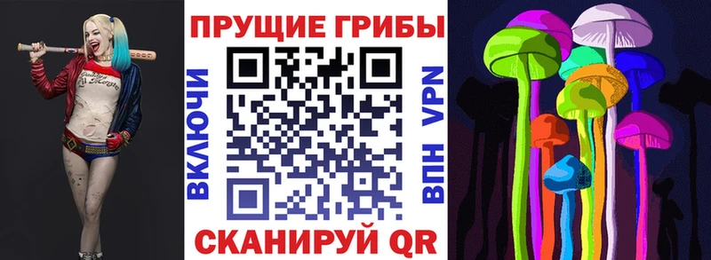 Галлюциногенные грибы ЛСД  Сольвычегодск 